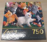 Puzzle Cover showing a variety of kittens together.