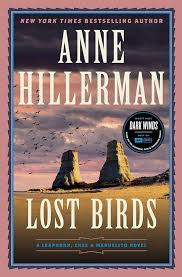 Book cover showing a cloudy sky with a lot of birds flying around near some rocky plateaus