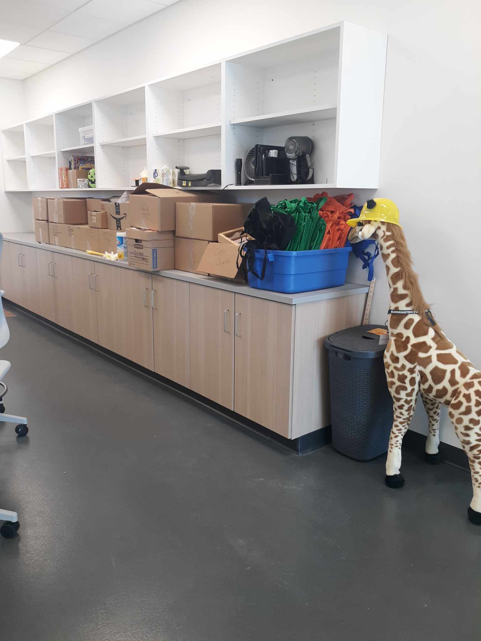 Melvin, the plush giraffe library mascot helping move items to the new circulation work room area on the newly opened west side of the building.