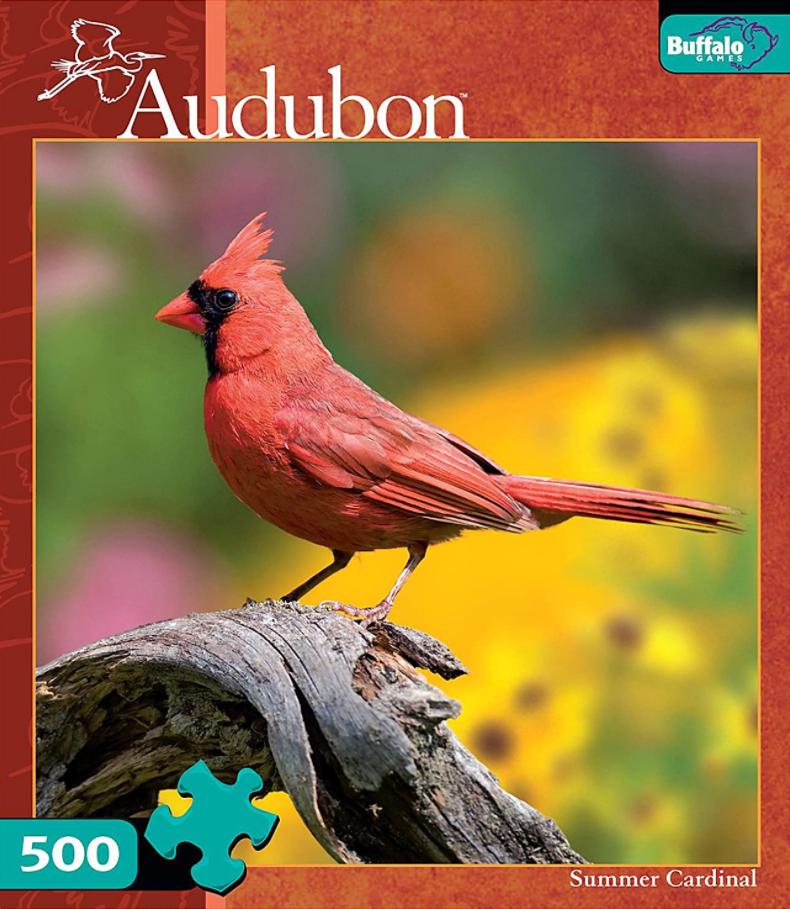 Summer Cardinal cover art