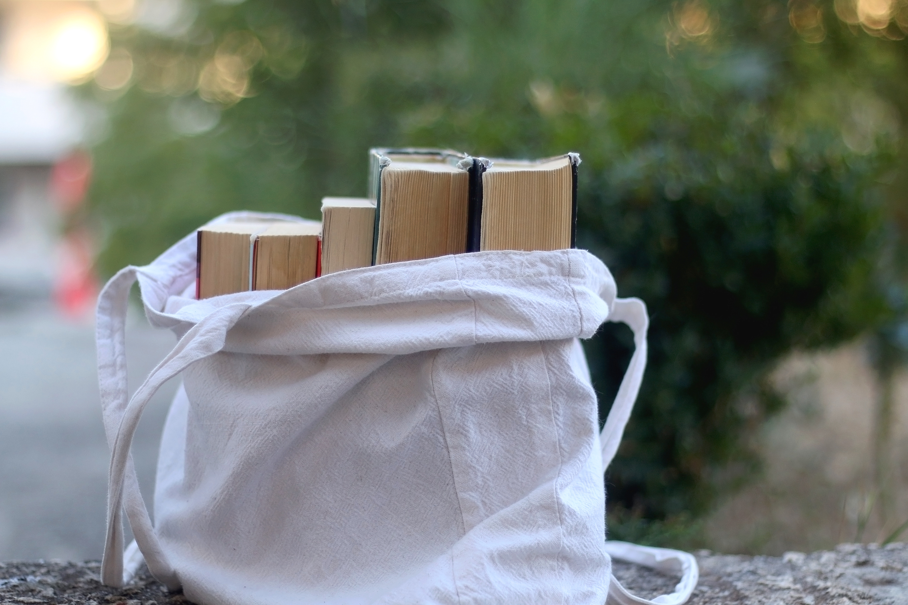Bag holding books