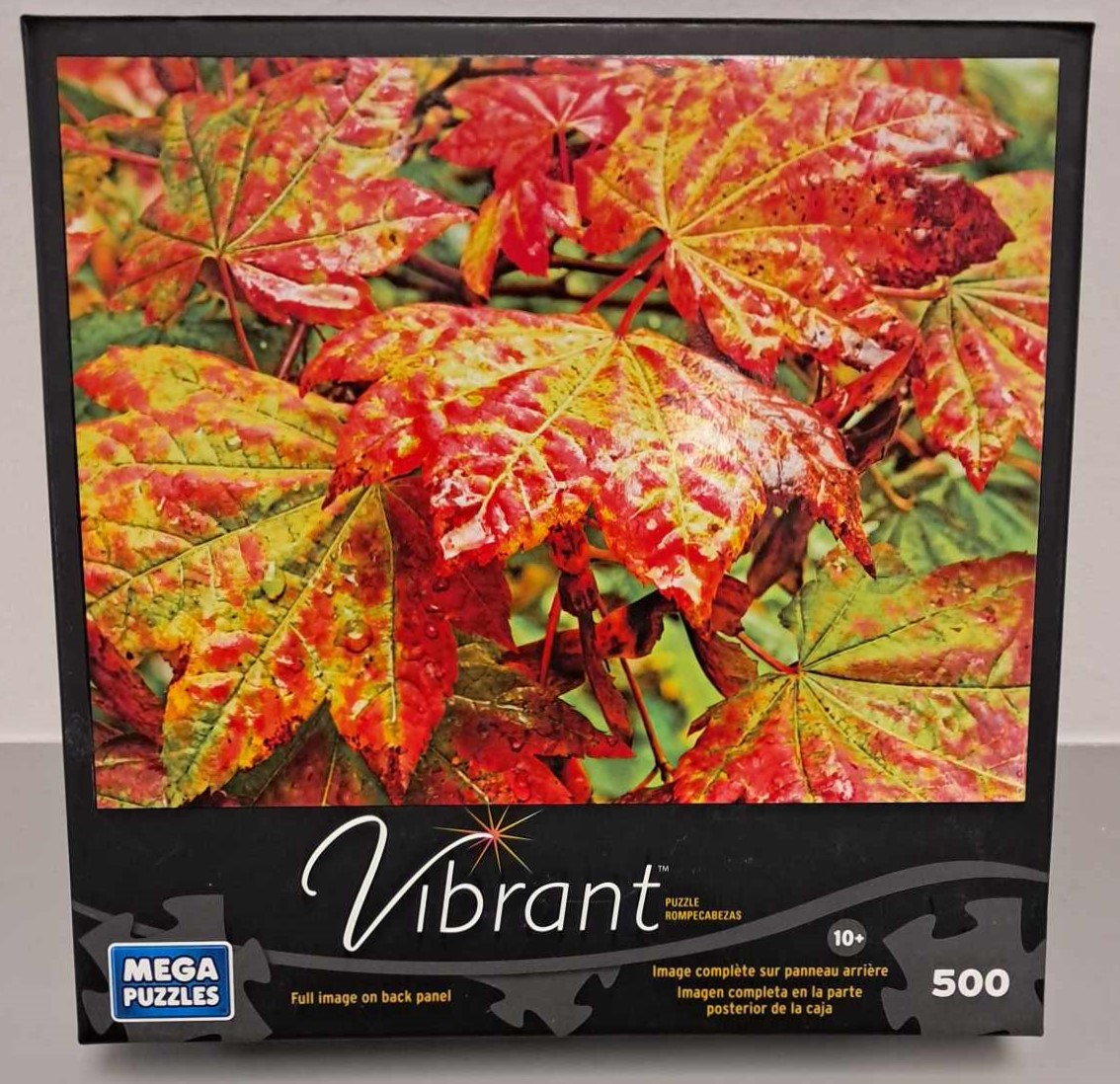 Puzzle cover showing maple leaves that are changing from a green color into red.