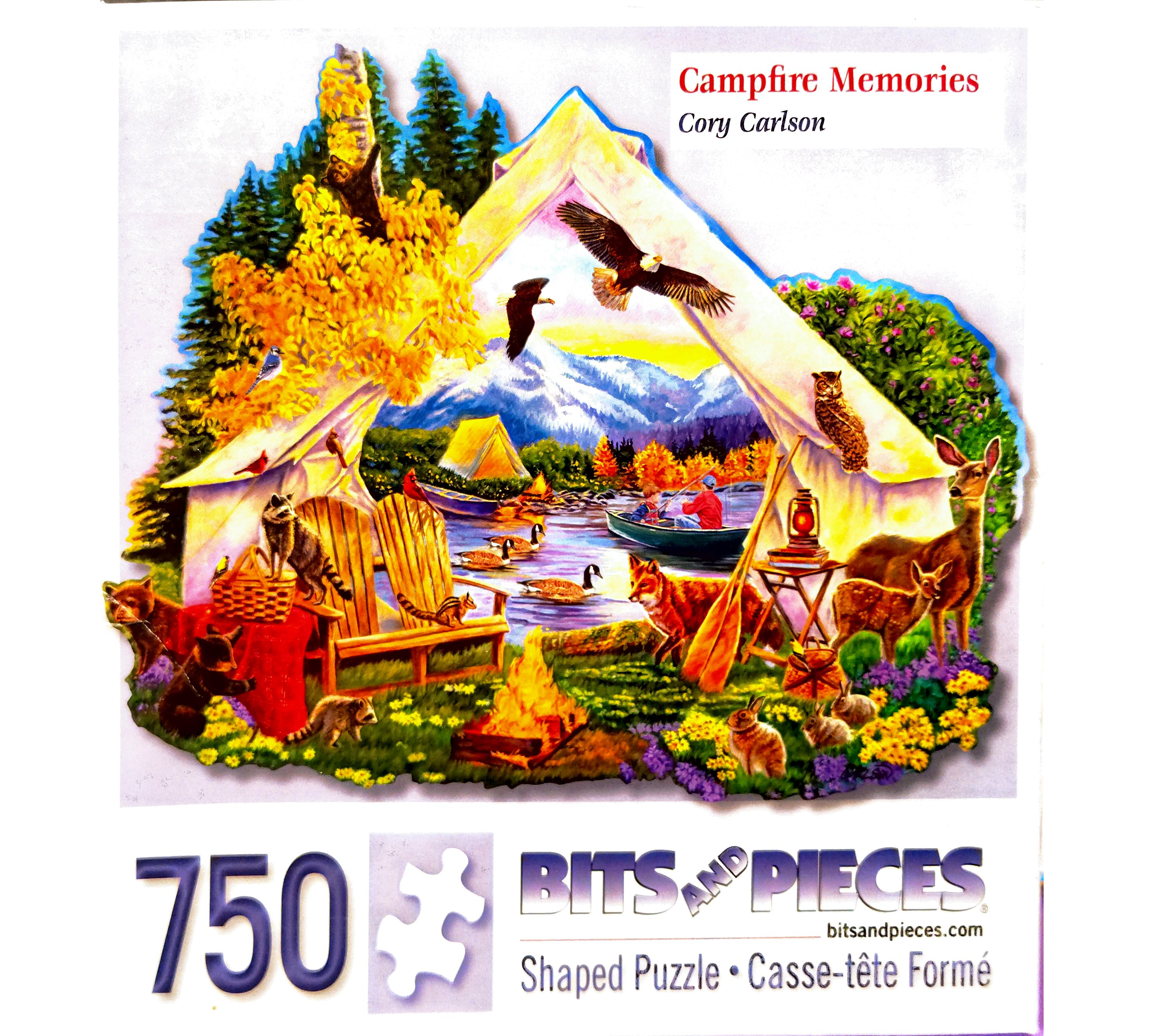 Puzzle cover showing a tent near a campfire, but inside the tent is a view of a mountain area with birds flying around.