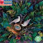 Birds in Fern cover art