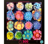 Puzzle cover showing a variety of different colored succulents in different pots.